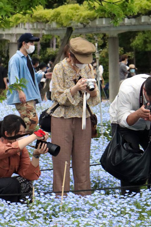 ウェルカムぱんだ関西 カメラ 大阪 京都 滋賀 奈良 和歌山 兵庫の関西カメラサークル